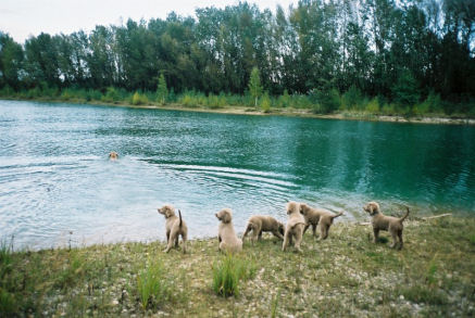 2002_wasser_k.jpg