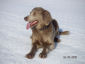 20050324_k.jpg