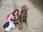 20050406_01_k.jpg