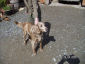 20050428_01_k.jpg