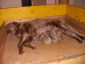 20050701_01_k.jpg