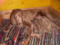 20050708_03_k.jpg