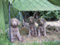 20050805_08_k.jpg