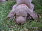 20050810_01_k.jpg